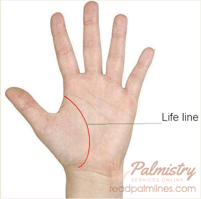 lifeline in palmistry