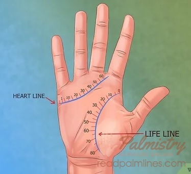 how to calculate in palmistry