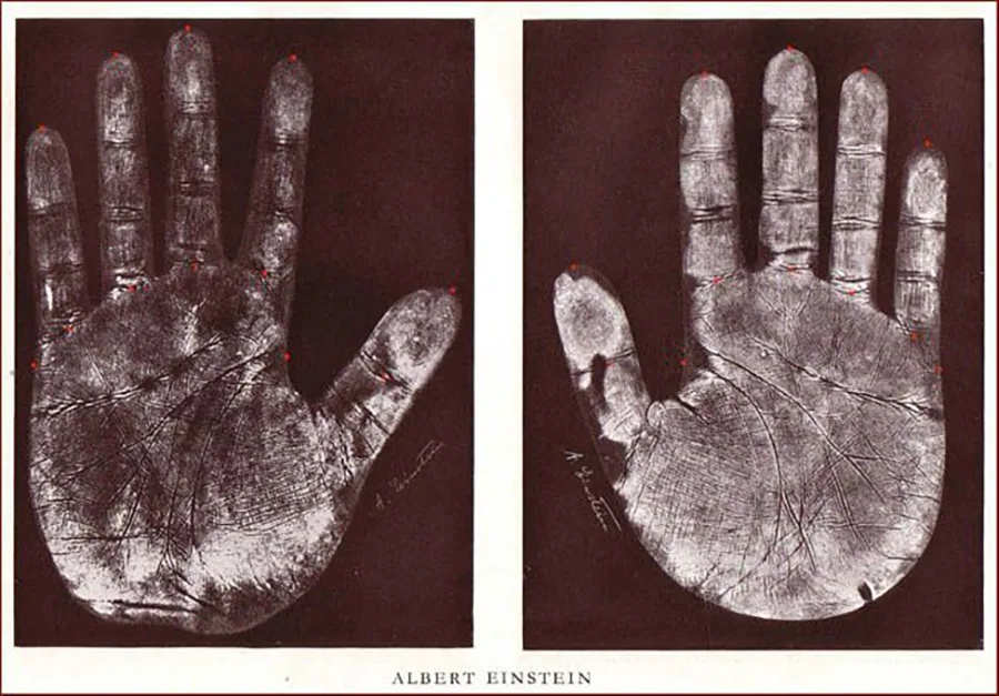 Albert Einstein - The Curved Path of Genius