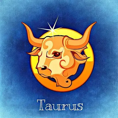 November 2025 Horoscope: Career Boost for Earth Signs – Taurus, Virgo, Capricorn 2 Careers to Suit a Taurus