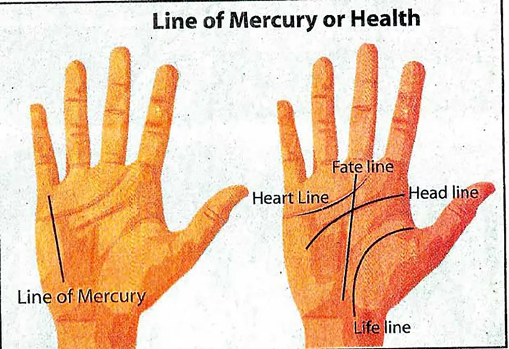 Branched mercury line in palmistry indicating lifestyle multitasking effects