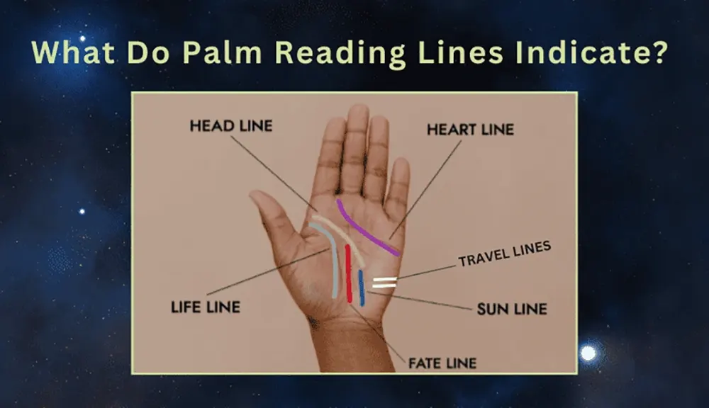 Faint Mercury Line – Does It Indicate Weak Health? 4 Full palmistry lines diagram with Mercury highlighted