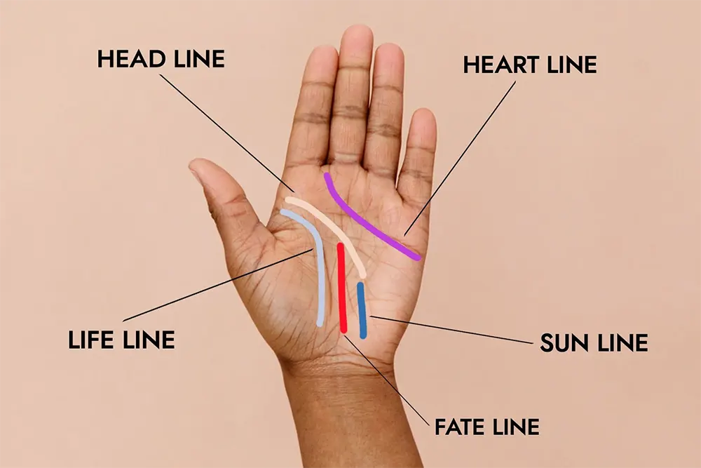 Crosses, Stars, and Breaks on the Fate Line in Palmistry 2 Detailed diagram of the fate line in palmistry showing career and destiny path