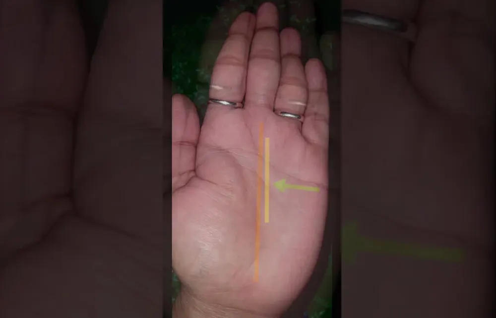 Double Fate Line – Dual Careers Explained: Unlocking the Secrets of Your Palm in Palmistry 2 Double fate line on palm indicating dual careers and multiple income streams in palmistry