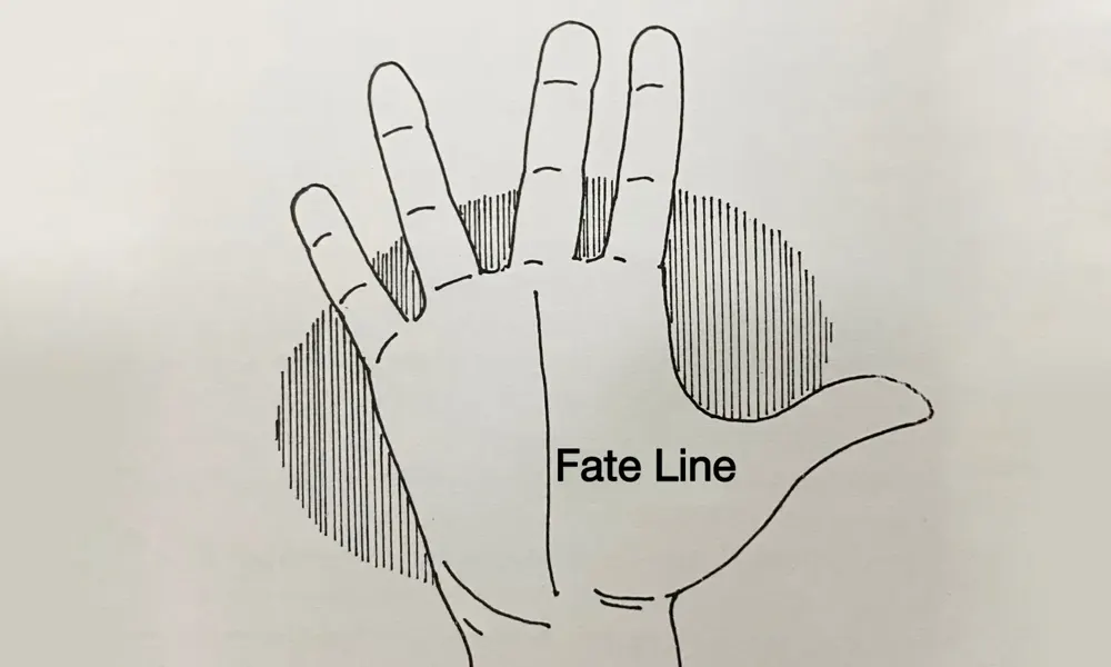 Fate Line Starting from Life Line vs Head Line: Unlocking the Secrets of Your Career and Destiny in Palmistry 2 Detailed diagram showing fate line in palmistry starting from life line, illustrating career influences from early life