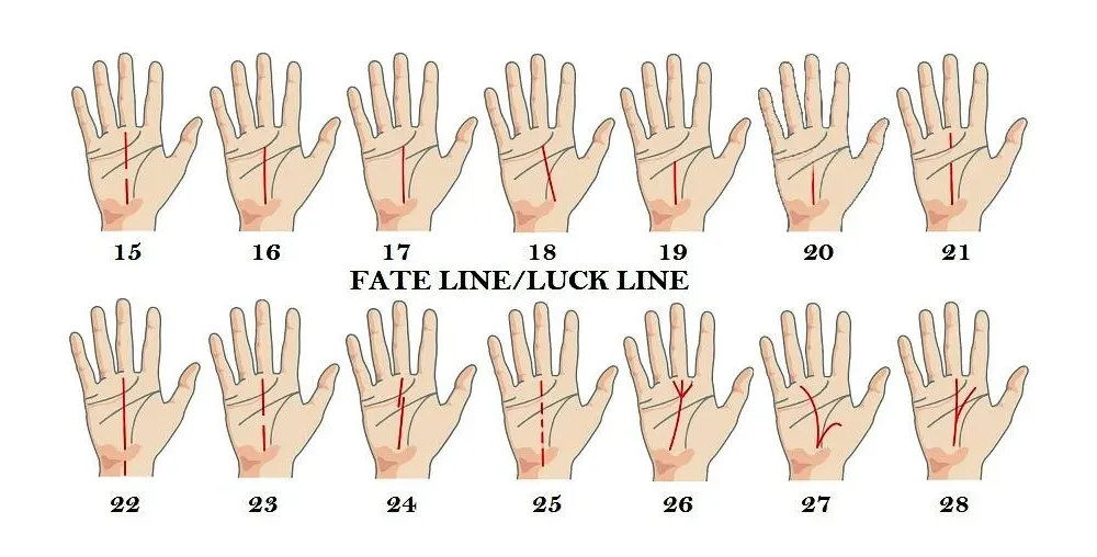 Fate Line Starting from Life Line vs Head Line: Unlocking the Secrets of Your Career and Destiny in Palmistry 5 Examples of fate line variations in palmistry, showing different starts and meanings for destiny