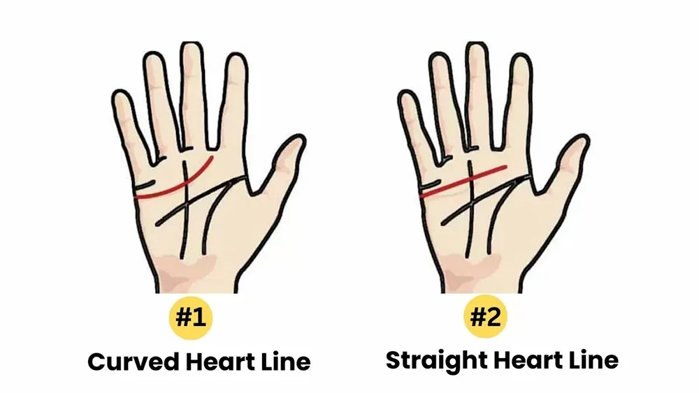 Gender Differences in Heart Line Interpretation