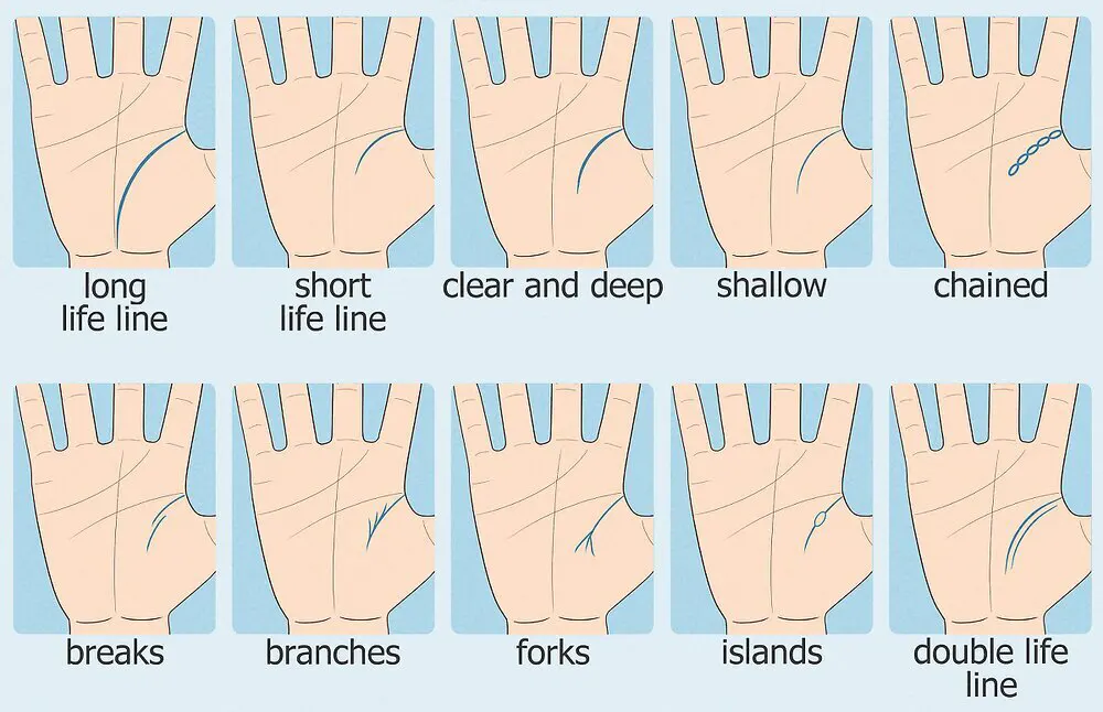 Examples of strong versus weak life lines in palmistry, illustrating differences in vitality and energy interpretation