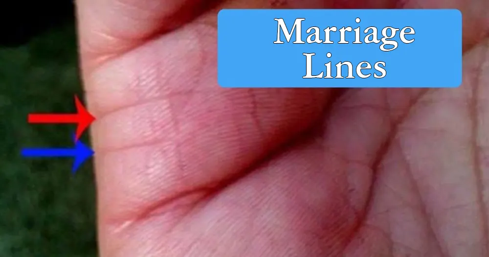 Multiple marriage lines in palmistry on a human hand revealing emotional bonds
