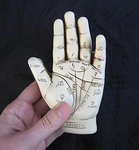 Toysmith Palm Reading Hand Model