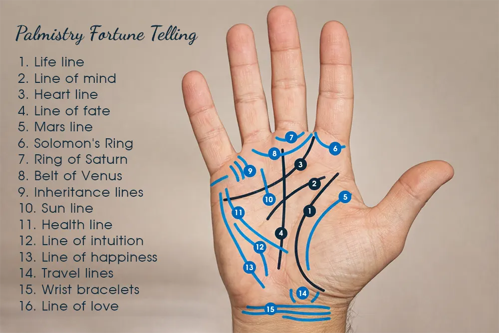 Short vs Long Life Line Meaning: Debunking Myths and Unveiling Reality 3 Diagram of hand palmistry lines highlighting the life line for short life line meaning