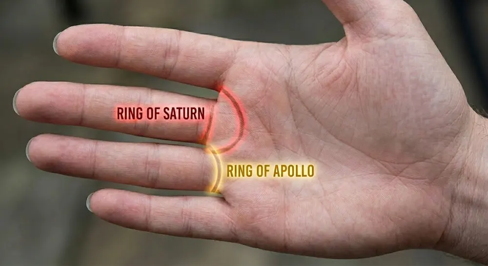 Ring of Saturn and Ring of Apollo in palmistry – rare minor lines at base of middle and ring finger
