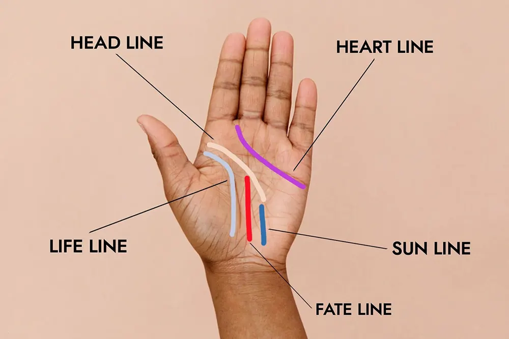 Double Fate Line – Dual Careers Explained: Unlocking the Secrets of Your Palm in Palmistry 3 Strong single fate line running toward the middle finger in palmistry