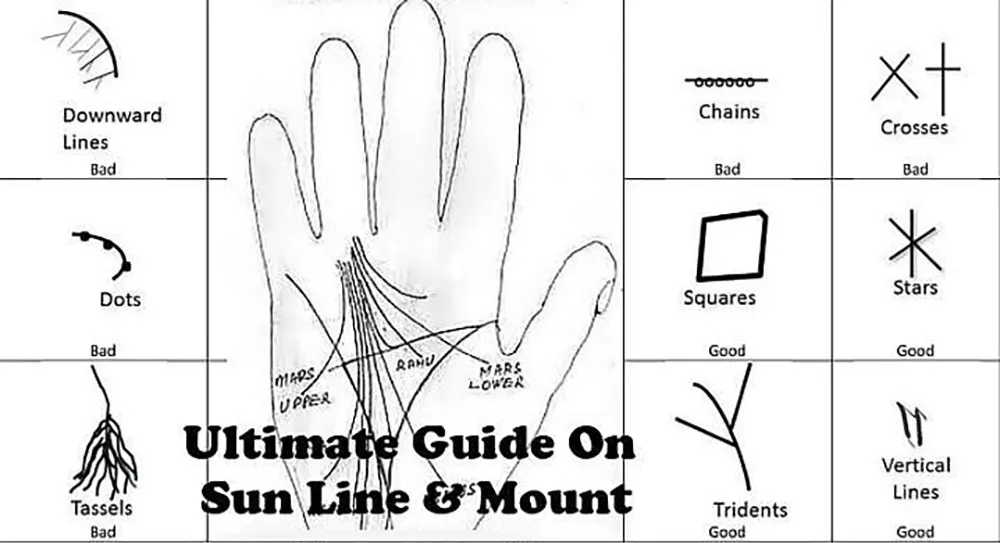 Detailed diagram of Sun Line in Palmistry showing partial variations and meanings