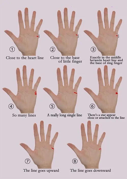 Variations of multiple marriage lines in palmistry showing diverse relationship lines on palm