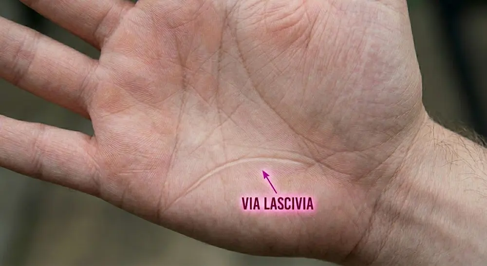 Via Lascivia palmistry meaning – the rare horizontal minor line on the lower palm